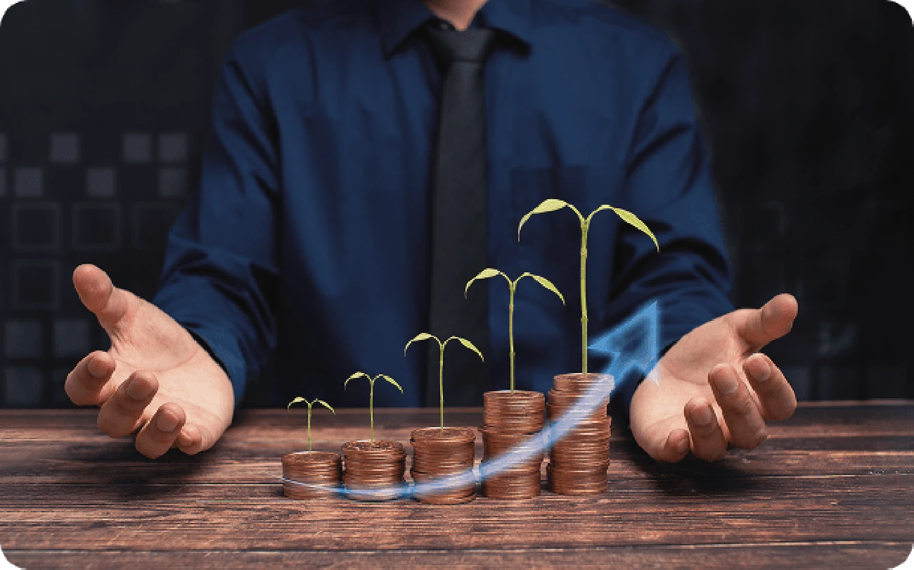 Financial & Investment Strategy